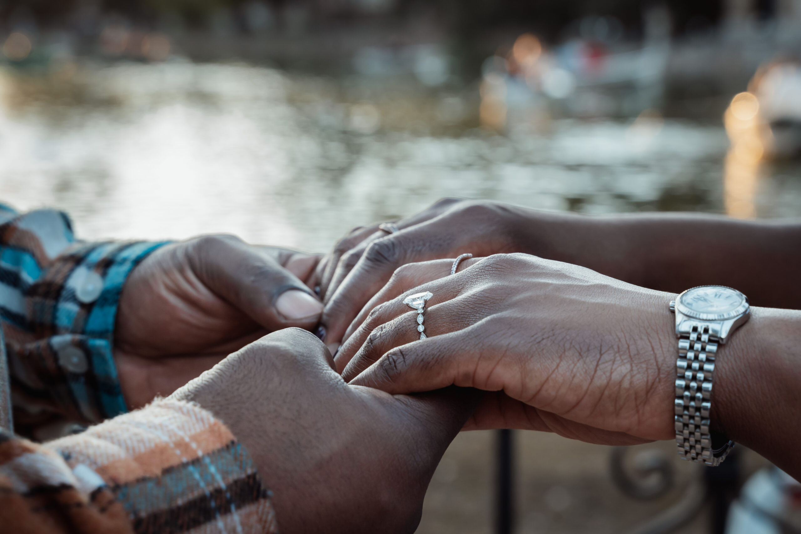 VillaBorgheseProposal_1_5